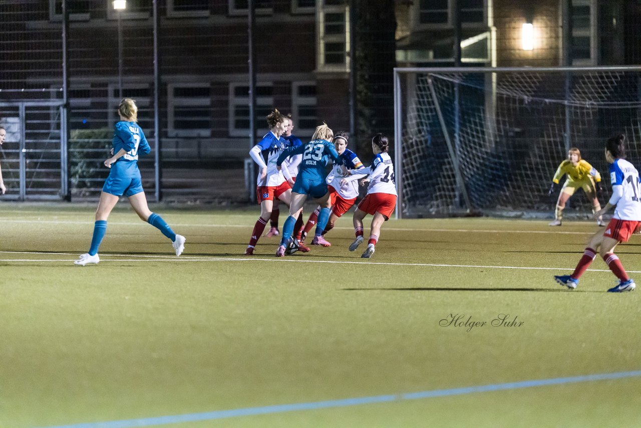 Bild 459 - F SC Alstertal-Langenhorn - Hamburger SV 3 : Ergebnis: 2:2